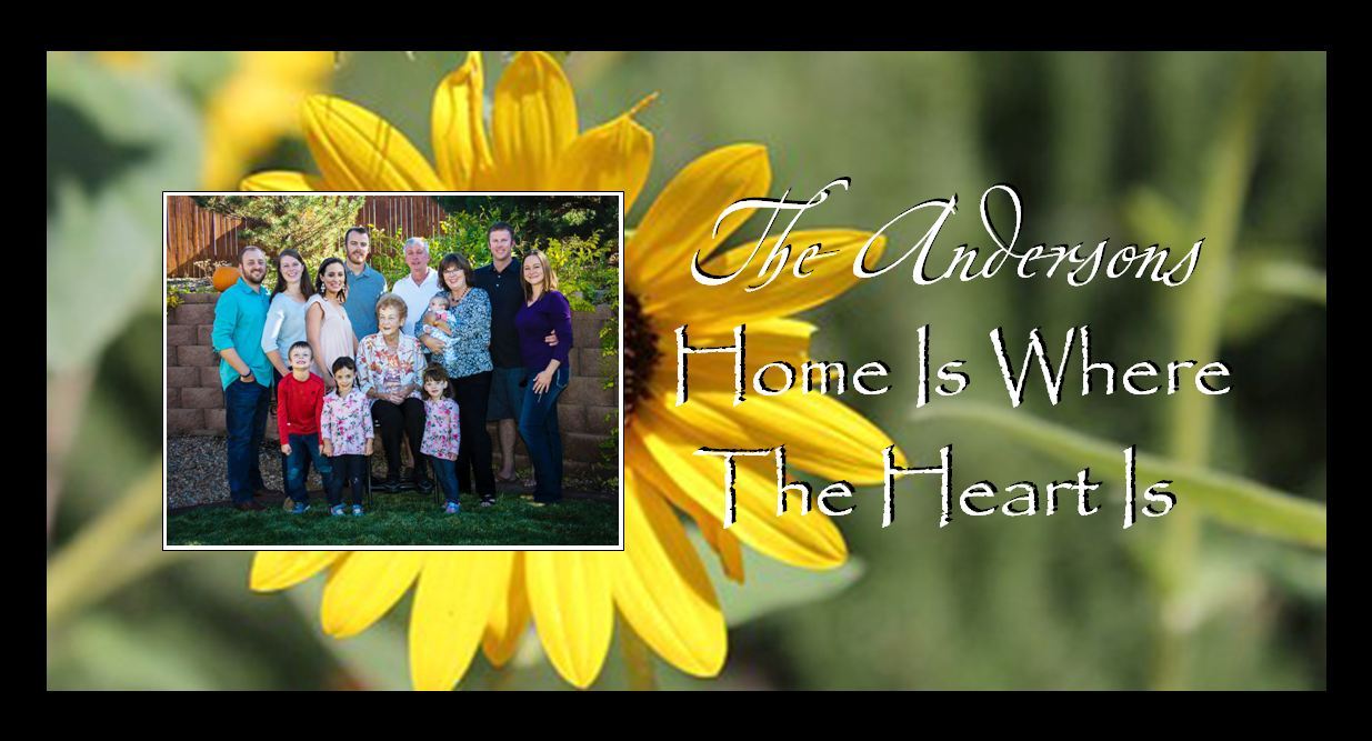 Home Is Where The Heart Sunflower
